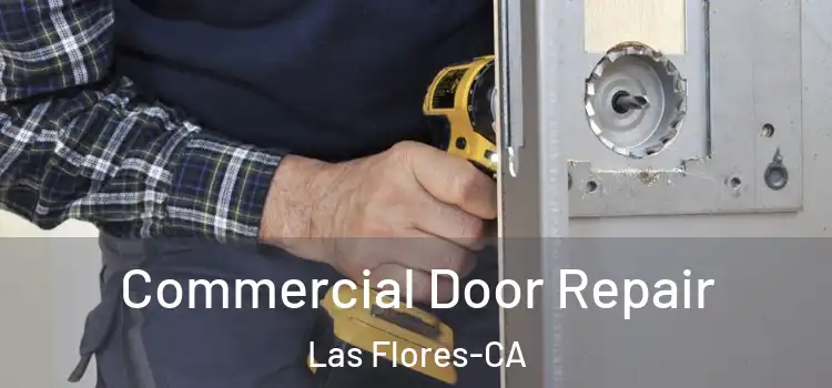  Commercial Door Repair Las Flores-CA