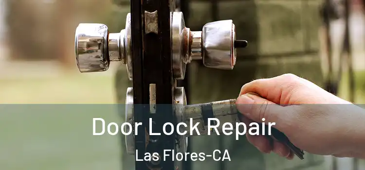  Door Lock Repair Las Flores-CA