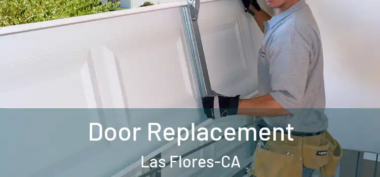  Door Replacement Las Flores-CA