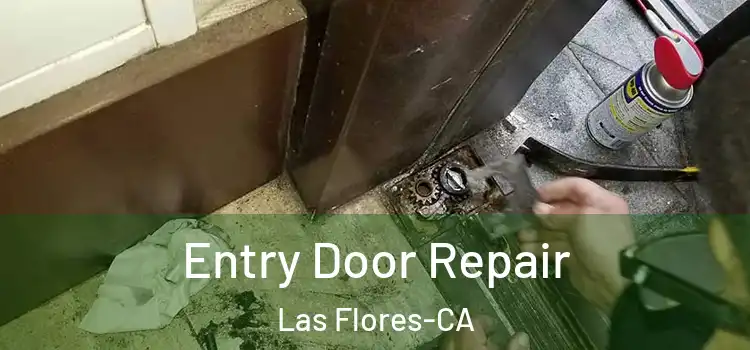  Entry Door Repair Las Flores-CA