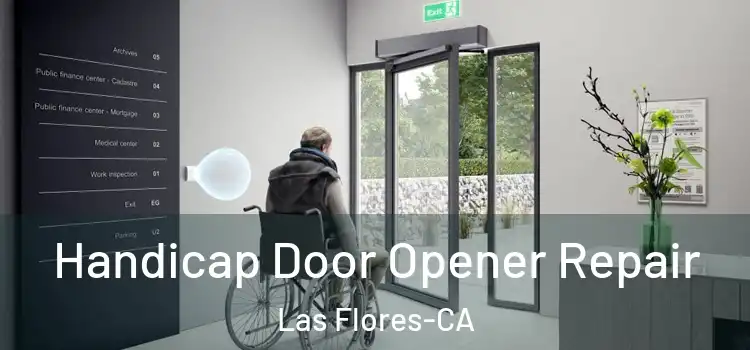  Handicap Door Opener Repair Las Flores-CA