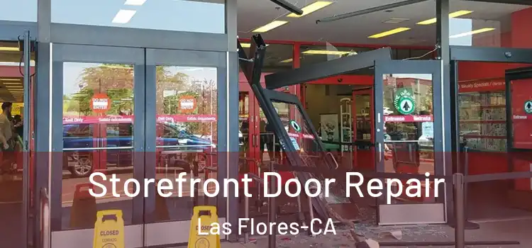  Storefront Door Repair Las Flores-CA